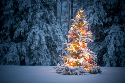 4Tage Weihnachten im Schwarzwald buchbar ab 25.12.22 - Hotel am Kurpark 